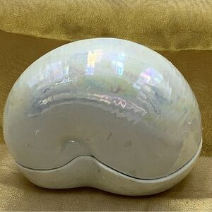 Vintage Lenox Nautilus Fine Porcelain Iridescent Sea Shell Trinket Box